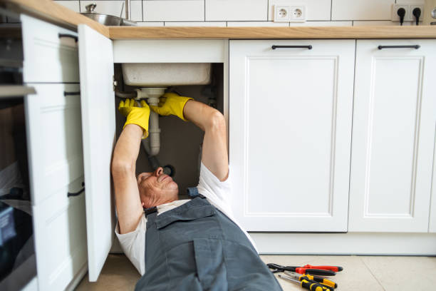 Best Local Plumber Services  in Inwood, FL